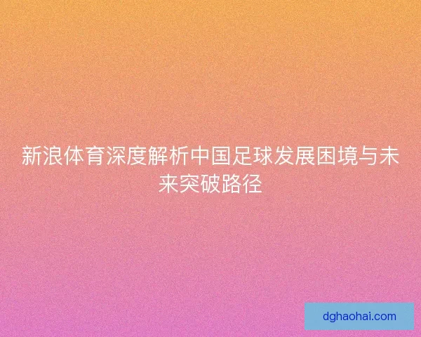 新浪体育深度解析中国足球发展困境与未来突破路径